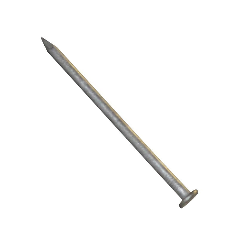 Flat Head Nails Galvanised, Multiple Sizes