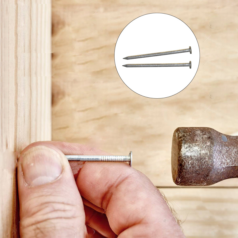 Flat Head Nails Galvanised, Multiple Sizes