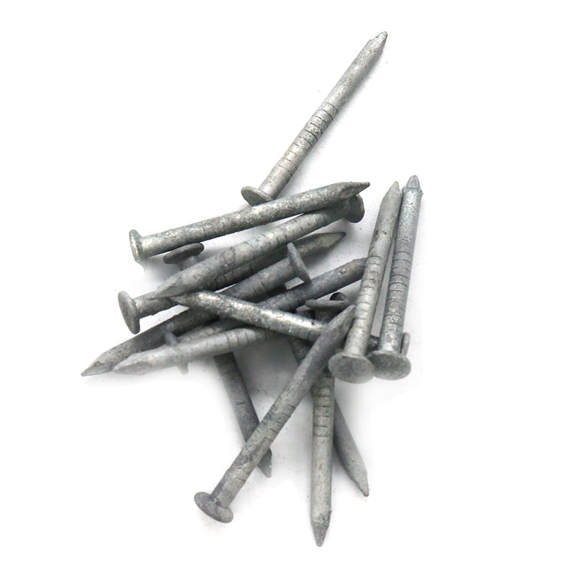 Flex Sheet Nails Galv Pack 5kg, Multiple Sizes