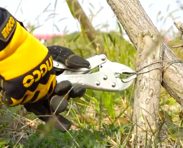 Locking Pliers Curved Jaw 180mm, 250mm