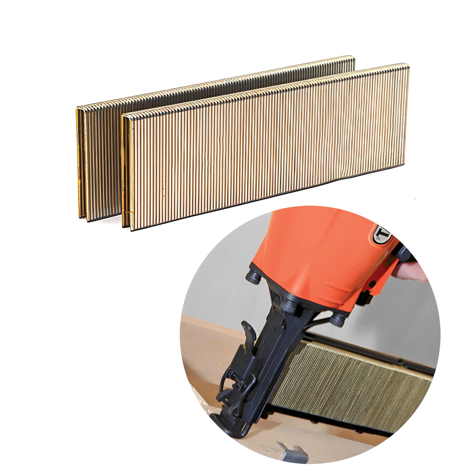 Staples Galvanised 6000 Series 21GA Bx5000, 16mm-38mm