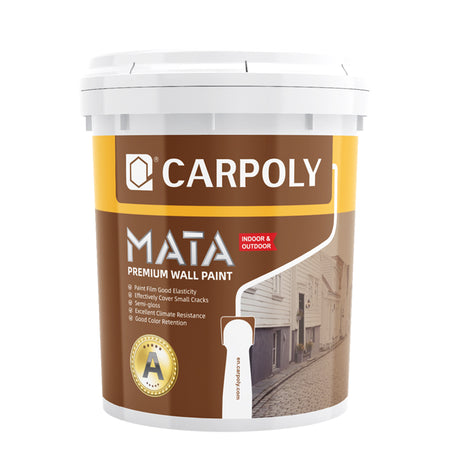 Premium Exterior Wall Paint