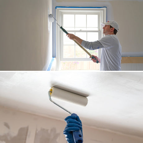  White Indoor Wall Paint