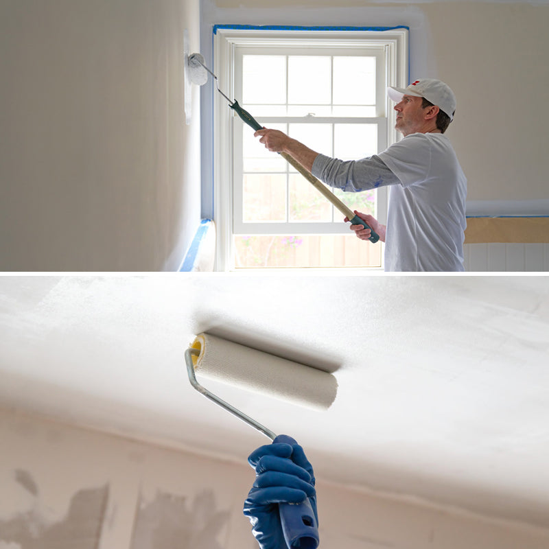  White Indoor Wall Paint