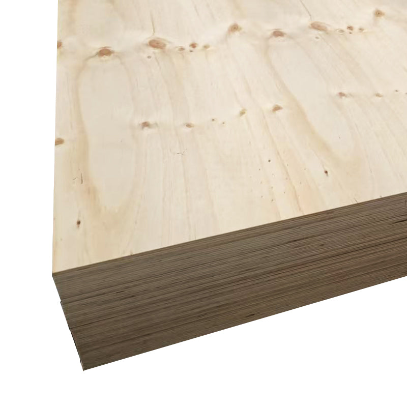 Plywood Non-structural C/D 2400 x 1200