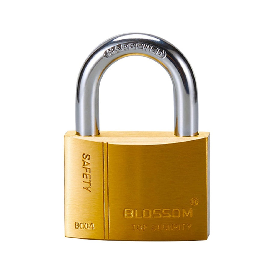 Padlock Brass Heavy Duty, Multiple Sizes