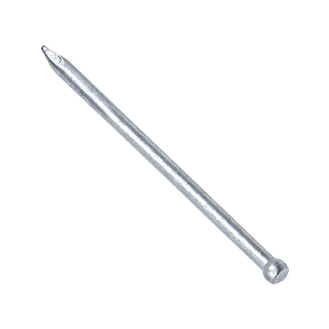 Steel Nail Hdg Jolt 1kg Pack, Multiple Sizes