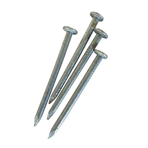 Steel Nail Hdg Flat 1kg Pack Multiple Sizes