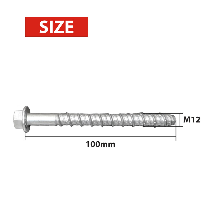 Screw Bolt Galv ETA M12 x 100mm Box30