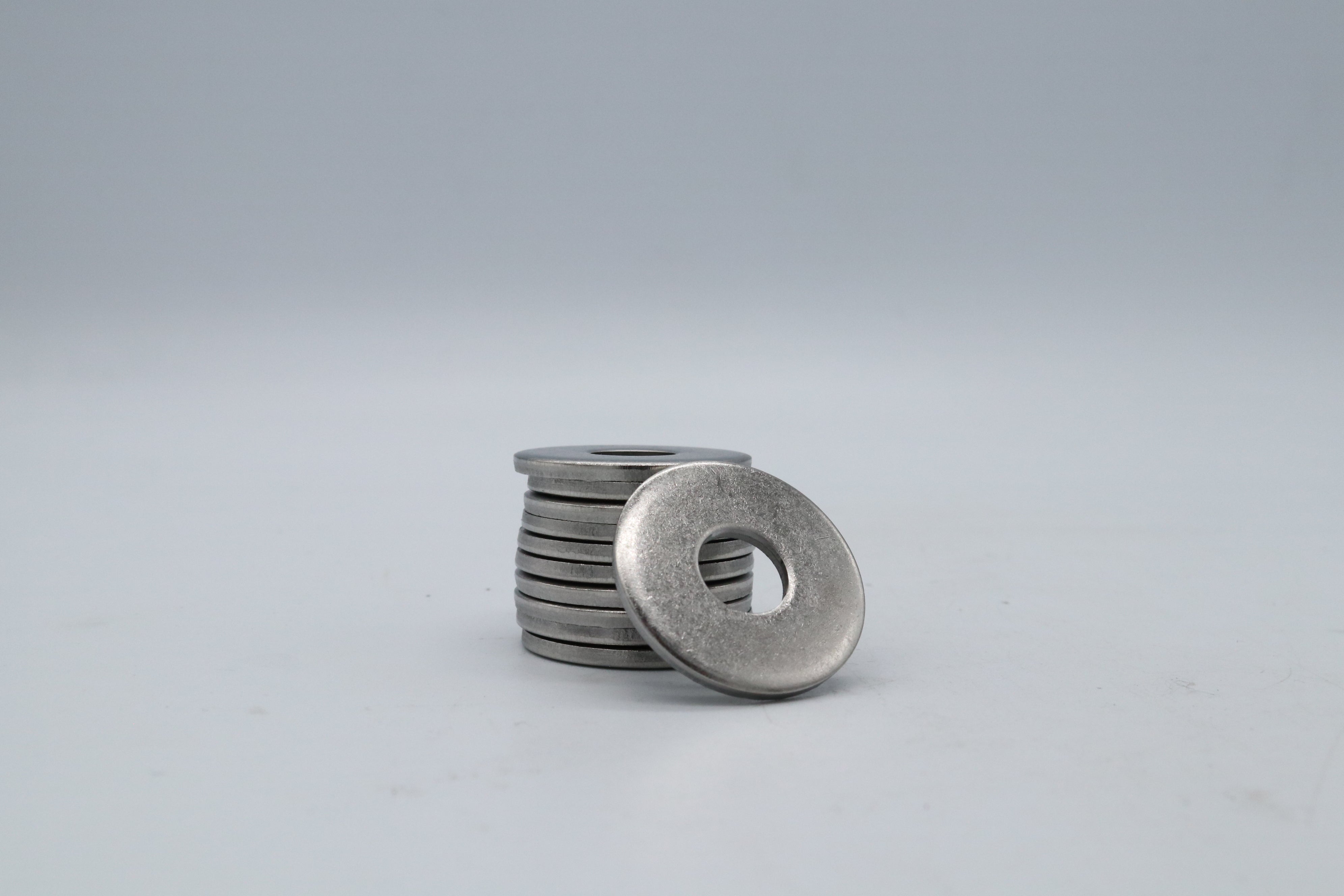 Mudguard Washer S304 M5 to M20