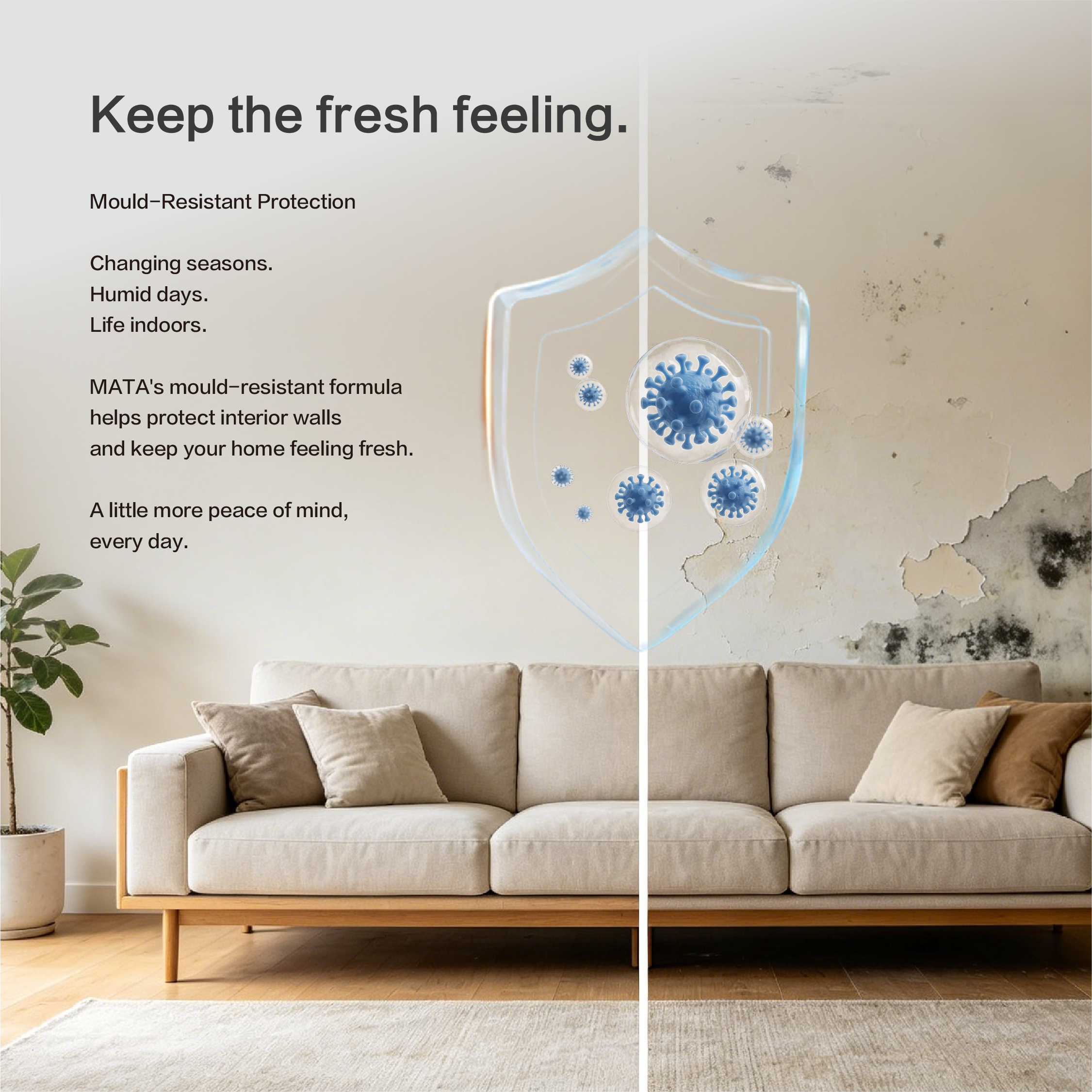 Carpoly Mata Premium Interior Wall Paint (White/Light/Deep/Dark Color Base Paint), Optional Sizes