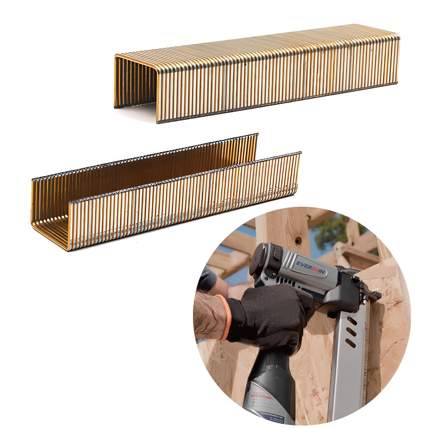 Staples Galvanised P Series 16GA Bx10000, 19mm-25mm